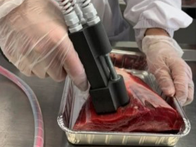 Prototipo predizione qualità della carne